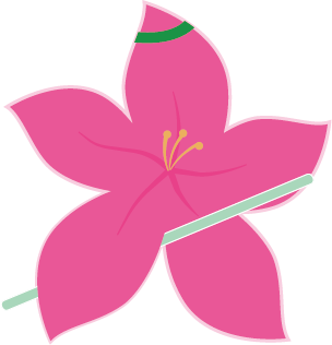 Bauhinia Challenge 洋紫荊挑戰賽